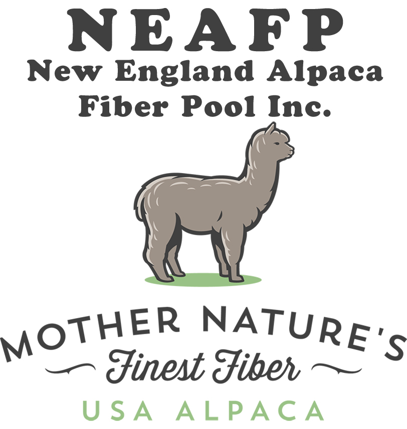 Alpaca Fiber - Everything You Need to Know